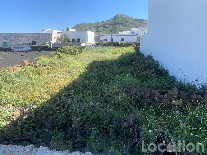 plot2 imagen por esta Una sola planta Finca en Maguez