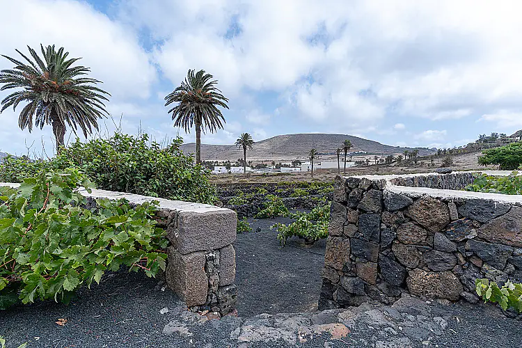 LOCATION HARIA 110926-54 Foto für diese Immobilie Freistehend Landhaus in Haría