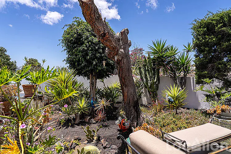 costa teguise -250626-34 image for this Detached Villa in Costa Teguise