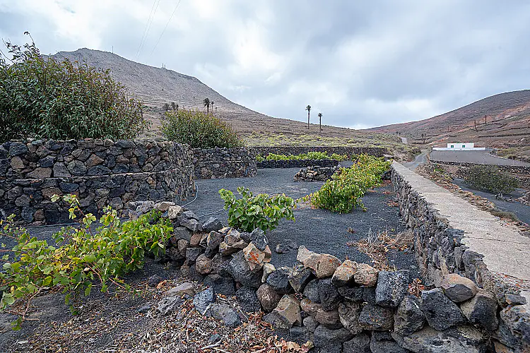 LOCATION HARIA 110926-66 Foto für diese Immobilie Freistehend Landhaus in Haría