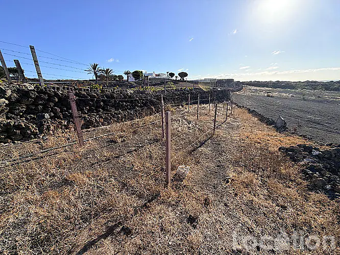 2282-36 imagen por esta Independiente Finca en Arrieta