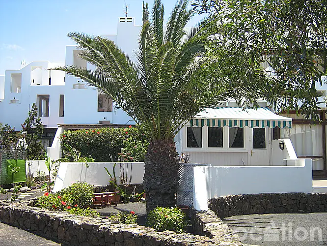 WhatsApp Image 2026-04-13 at 13.53.39 (4) image for this Ground Floor Studio in Costa Teguise