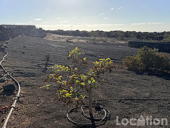 2282-37 imagen por esta Independiente Finca en Arrieta